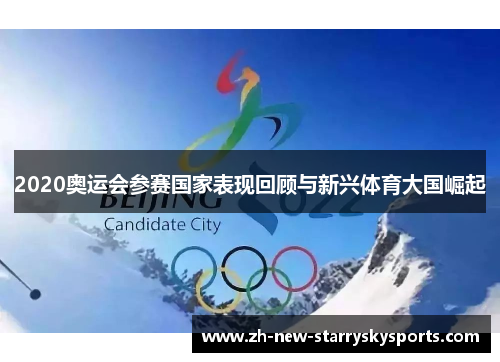 2020奥运会参赛国家表现回顾与新兴体育大国崛起